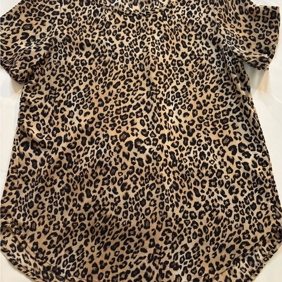 Premise Tan and Cream Short Sleeve Blouse - Picture 3 of 3